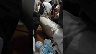 Download lagu Story Wa  anak hadroh #Shorts mp3