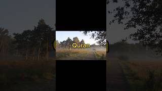 Download lagu Beautiful 😍 surah Naziat ✨ Translation 📖#viral#surat mp3 Download lagu Beautiful 😍 surah Naziat ✨ Translation 📖#viral#surat mp3