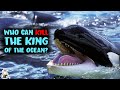 5 Animals That Could Defeat A Killer Whale