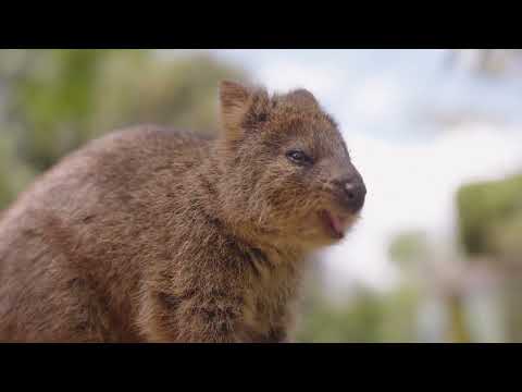 Featherdale Sydney Wildlife Park