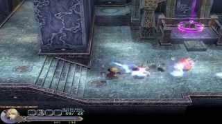 YS Origin for the Mac using the Portingkit