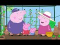 We Love Peppa Pig Grandpa Pig S Greenhouse 26