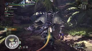 ［珍珍亭］モンハン実況　氷地獄　夫婦回