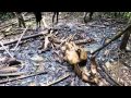 Video for poaching problems and impacts