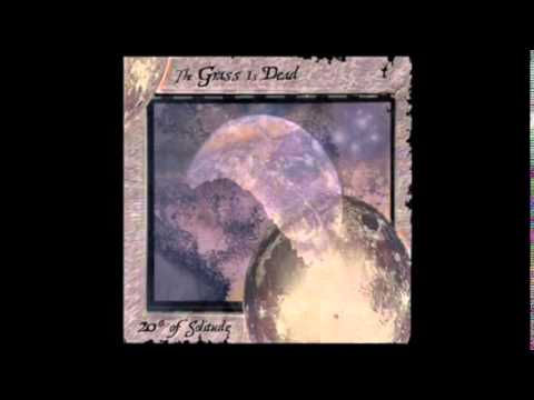 The Grass Is Dead - Foolish Heart