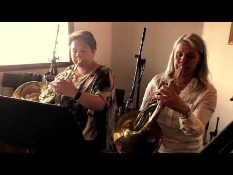 Estrellita (säv. Manuel M. Ponce & sov. Harold L. Walters)