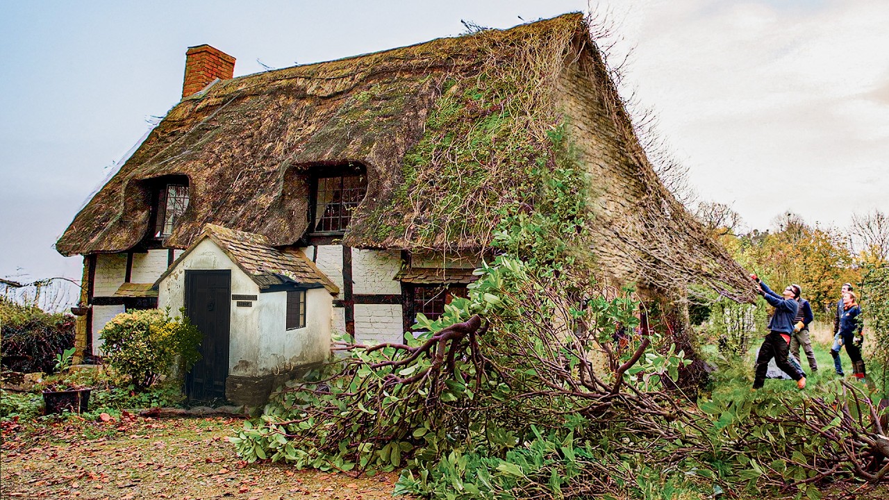 Abandoned 500 Year Old Cottage Renovation | Bad idea? #2