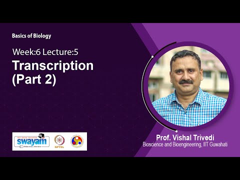 Basics of Biology Intro Video