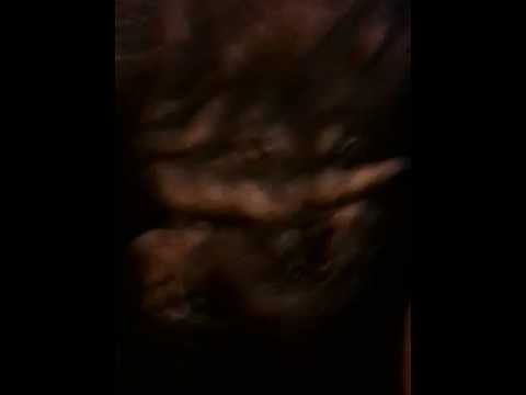 Brooks Bridge Video 3