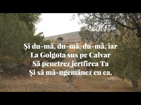 Nicu Cozma - Și du-mă, du-mă, du-mă iar