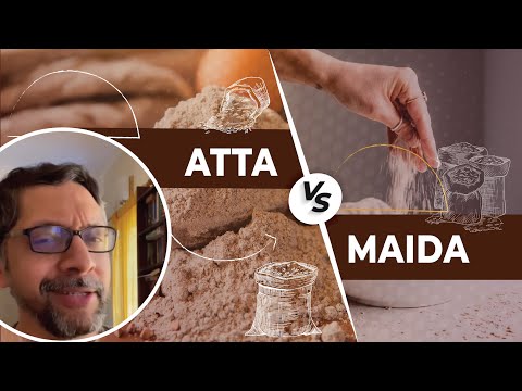 Atta vs Maida