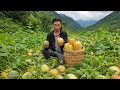 Undeterred By Hardship The Man Gathered Wild Melons So The Orphaned Girl Could Go To School