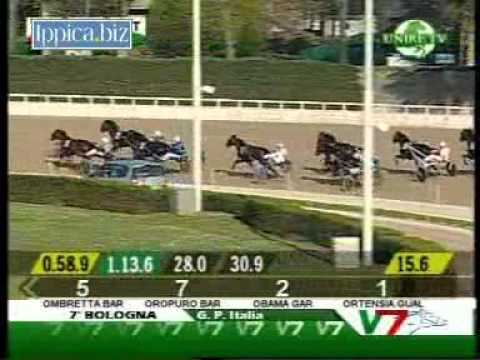 Premio Italia 2011 -Oropuro Bar