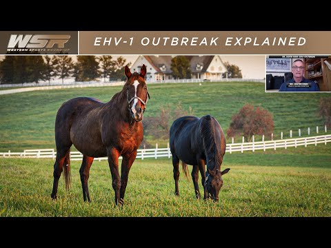 EHV-1-Ausbruch – Aktuelle Informationen 🐴 ⚠️ Dr. Justin High erklärt Fakten für Pferdebesitzer, R...