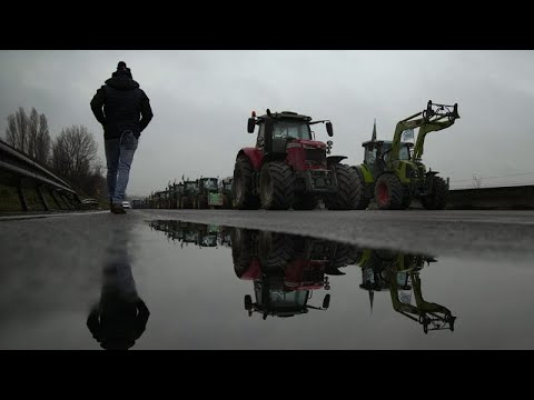 Europaweite Bauernproteste: Landwirte bewarfen EU-Parlament mit Eiern