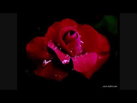 مشتاق اضمك  هاني العمري Mushtak Aadoumeek Hani el Omari