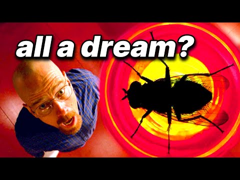 Breaking Bad's Polarizing Episode: 19 Hidden Details in Fly
