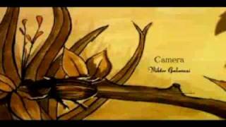 Leader Erik of het klein insektenboek