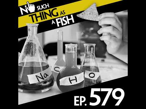 No Such Thing As Indiana Jones And The Rare Burrito