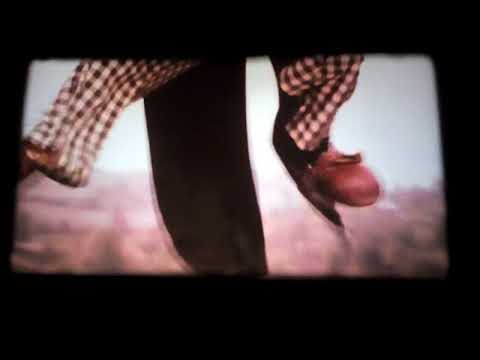 sbirulino il film di Flavio Mogherini (1983) pagliaccio sandra Mondaini