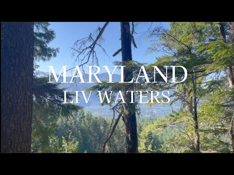 Maryland - Liv Waters (official lyric video)