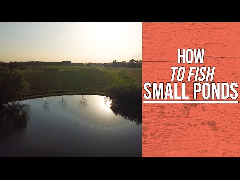 How to Fish SMALL PONDS