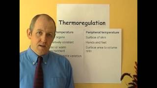Thermoregulation 5, Body temperature
