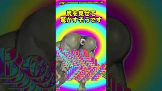 【雑学？】おしりが光る？夢に出る姿をした妖怪の正体 #shorts