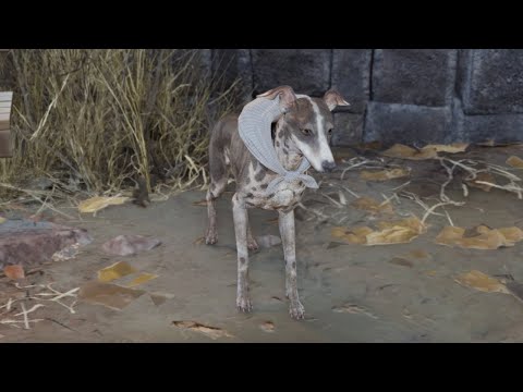 FF7 Rebirth Stamp / Salmon Quest Theme - OST Extended with lyrics [4K High Quality 30 minutes]