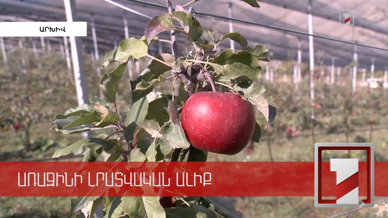 Օպտիմալ ռեսուրսներ՝ լավ արդյունք ստանալու համար. ճշգրիտ գյուղատնտեսությունն աշխարհում ու Հայաստանում