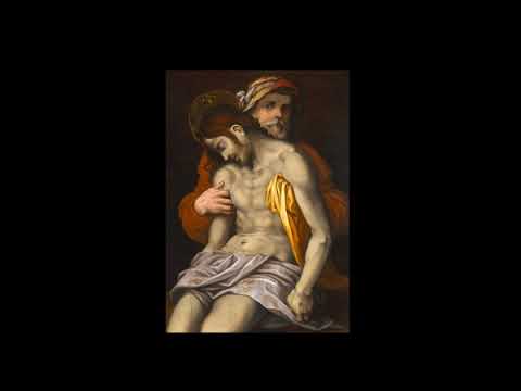 II. THE NOBILIS DECURIO