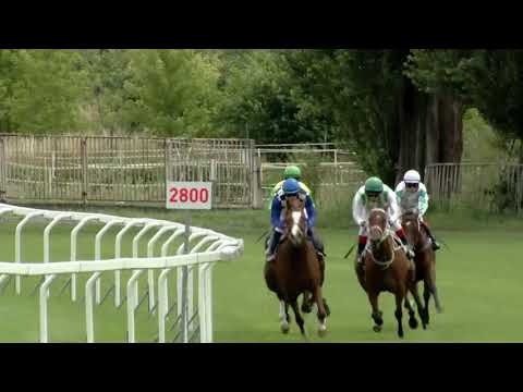 1. dostih – Simsonova cena - Video záznam CPI PG České derby 2018 v Chuchli