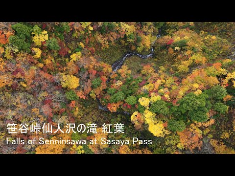 🍁🏔️ [4K] 笹谷峠・仙人沢の無名滝 紅葉 / Hidden Waterfall in Senninsawa, Sasaya Pass