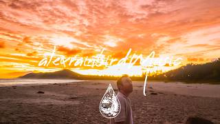 Old Sea Brigade - Distant Skies