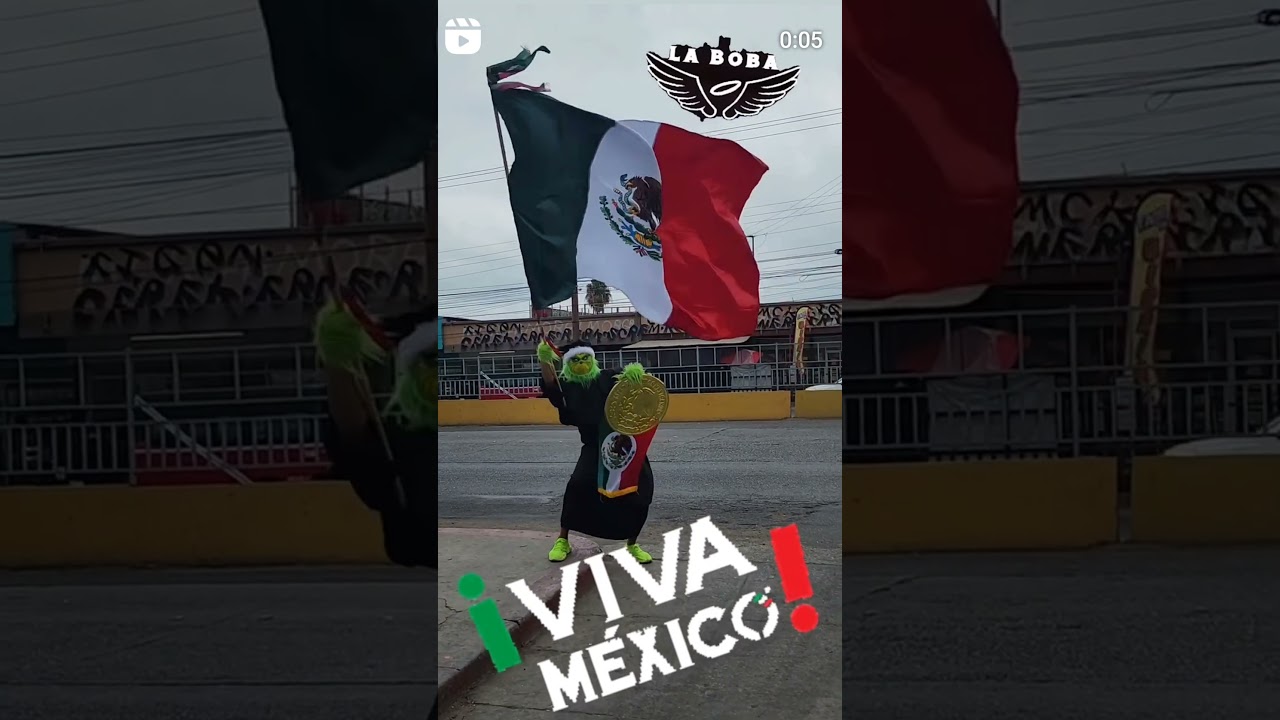 Viva Mexico #grinch #laboba #trending #facts #viralvideo #news #explore #funny #ll  #animals #reels