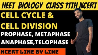 Cell cycle and Cell Division | M Phase | Prophase | Metaphase | Anaphase | Telophase.