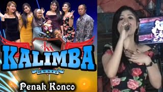Download lagu Kalimba - Penak Konco - Desta Dayu mp3 Download lagu Kalimba - Penak Konco - Desta Dayu mp3