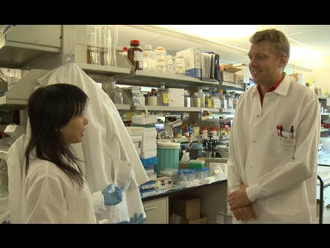 "You Only Set Your Own Limits" Says Morten, Researcher at the NIH