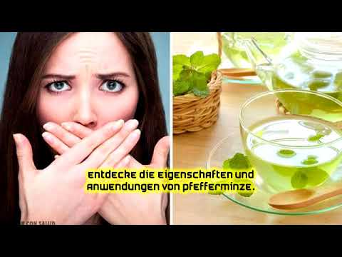 Entdecke die Eigenschaften und Anwendungen von Pfefferminze