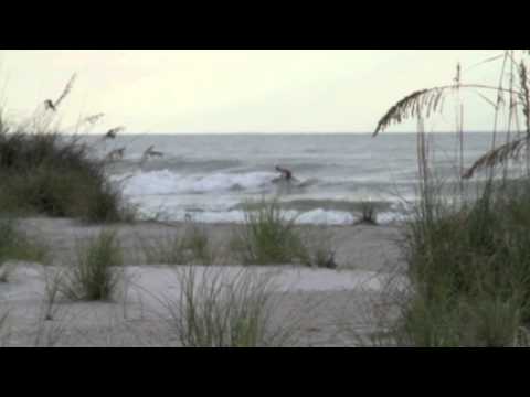 Friday Morning, after Katia