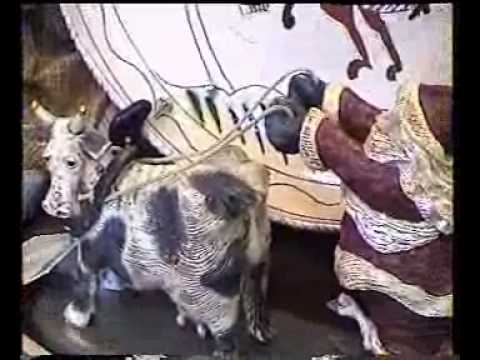 De Tukkers in Amerika 2000 joop