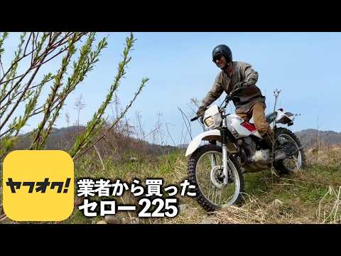 セローは車で言うところのジムニー【トレッキング特化型オートバイ】