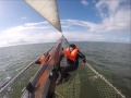Wadden 7 Bin Vti Kortrijk 2016 2017