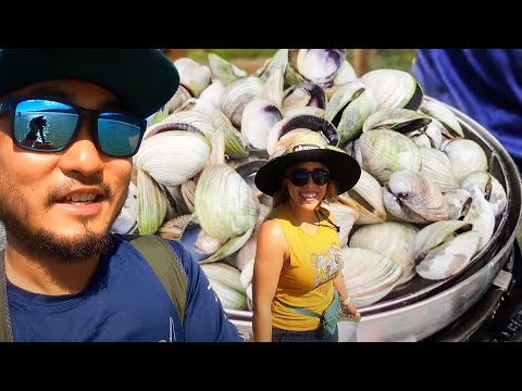 Coastal Foraging is Easy Here | Catch and Cook Cockles