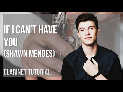 How to play If I Can't Have You by Shawn Mendes on Clarinet (Tutorial)