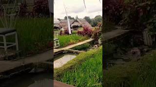 Download lagu NYIDAM SARI || MUSIK INSTRUMENTAL PENGHANTAR TIDUR mp3