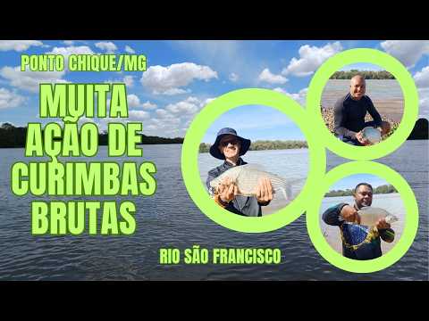 MELHOR PESCARIA DE CURIMBA QUE JÁ FIZEMOS FOI NA CIDADE DE PONTO CHIQUE/MG.
