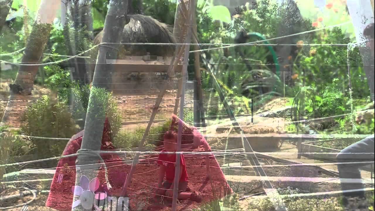 Gardening With Lucy - Fun Times With Children Gardening