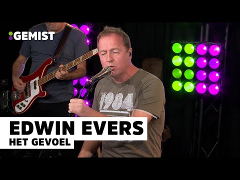 Edwin Evers - Het Gevoel | Live Bij 538