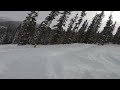 WP D3 bumps with Bob